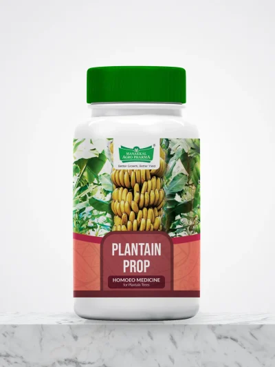 Plantain Prop
