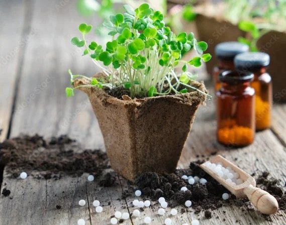 Agro Homeopathy Agro Homeopathy