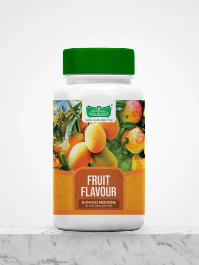 Fruit Flavor