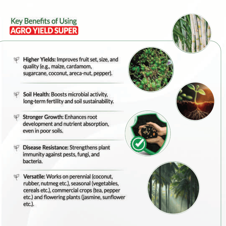 Agro yeild 32 pages_compressed (1)-03