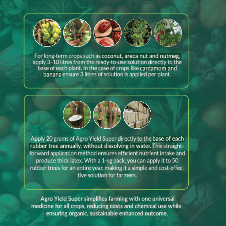 Agro yeild 32 pages_compressed (1)-05