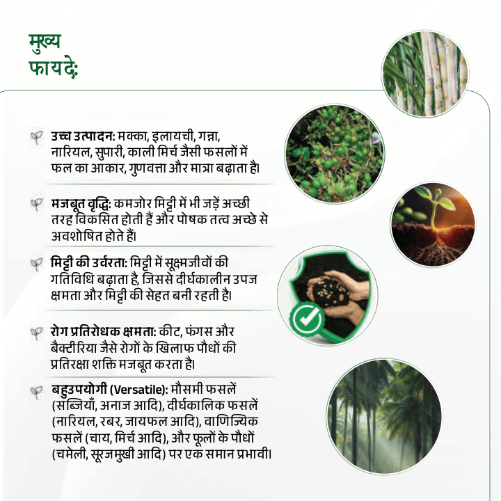 Agro yeild 32 pages_compressed (1)-07