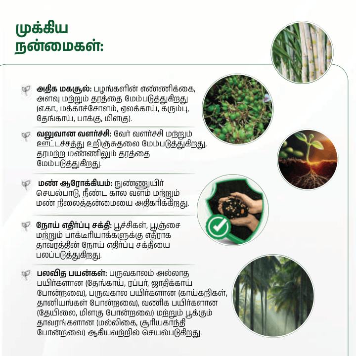 Agro yeild 32 pages_compressed (1)-11