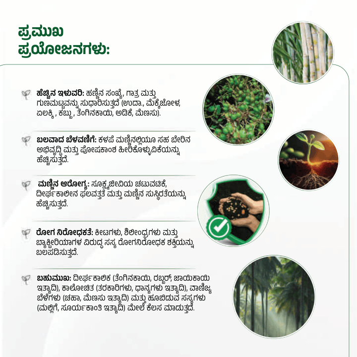 Agro yeild 32 pages_compressed (1)-15
