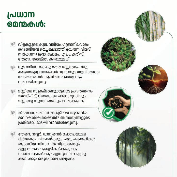 Agro yeild 32 pages_compressed (1)-19
