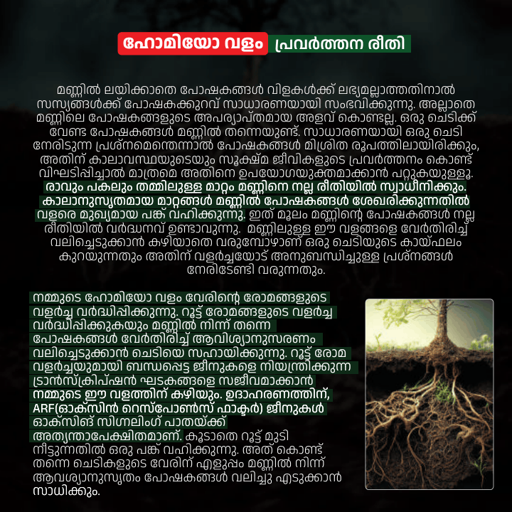 Agro yeild 32 pages_compressed (1)-25