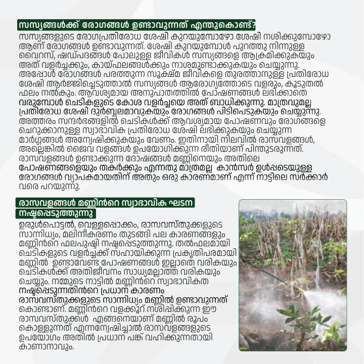 Agro yeild 32 pages_compressed (1)-28