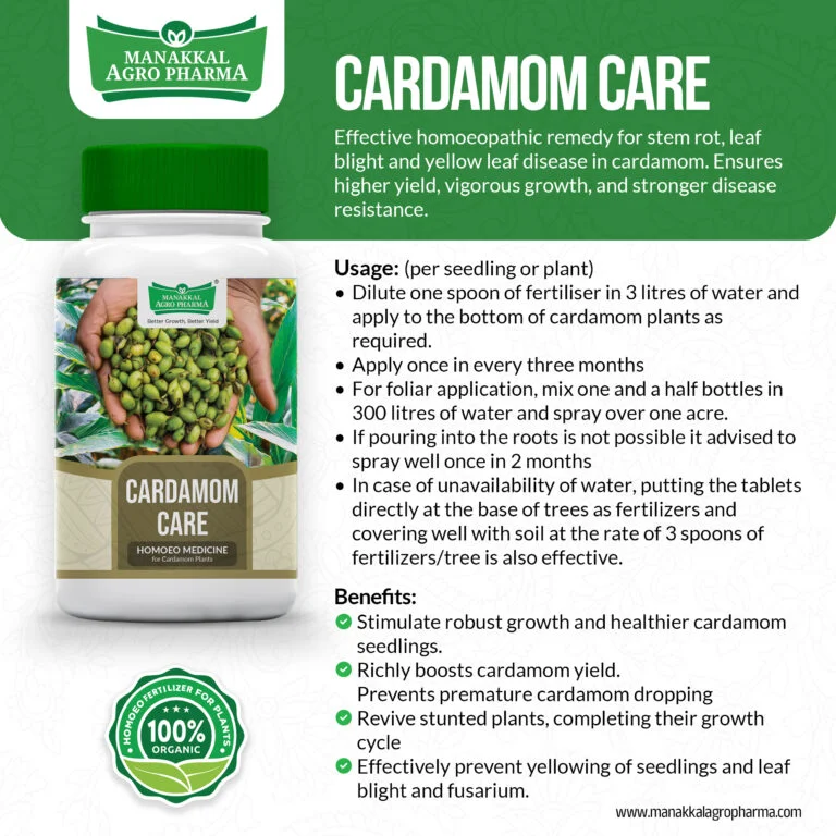 Cardamom-Care-768x768
