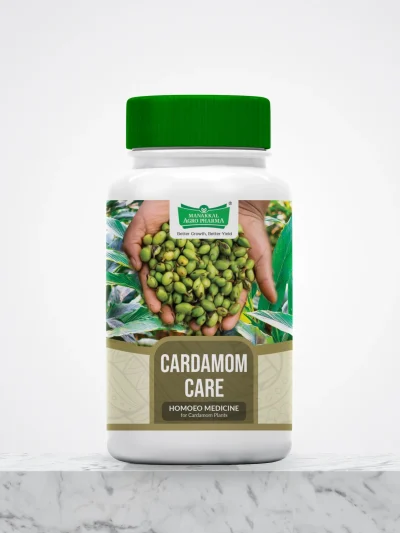 Cardamom Care