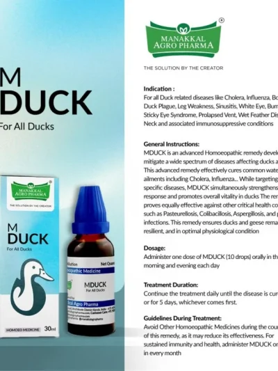 M Duck