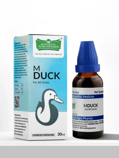 M Duck