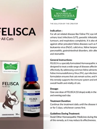 Felisca