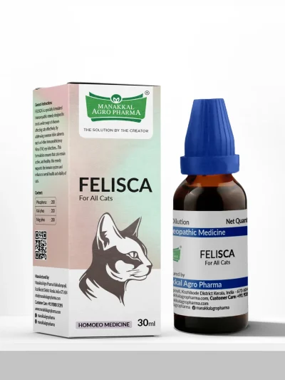 Felisca